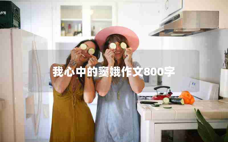 我心中的窦娥作文800字