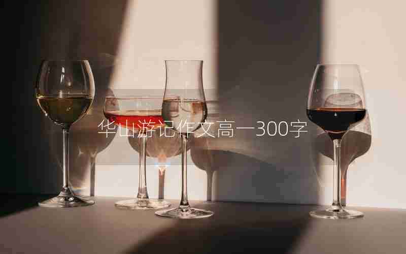 华山游记作文高一300字