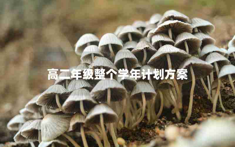 高二年级整个学年计划方案