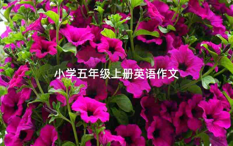 小学五年级上册英语作文