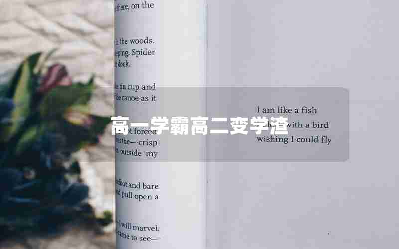 高一学霸高二变学渣