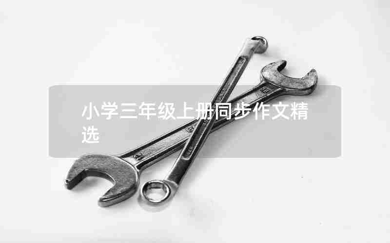 小学三年级上册同步作文精选