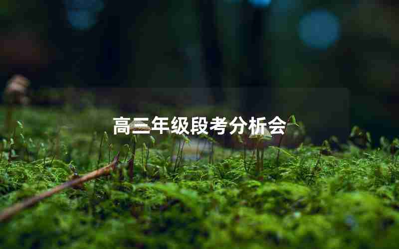 高三年级段考分析会