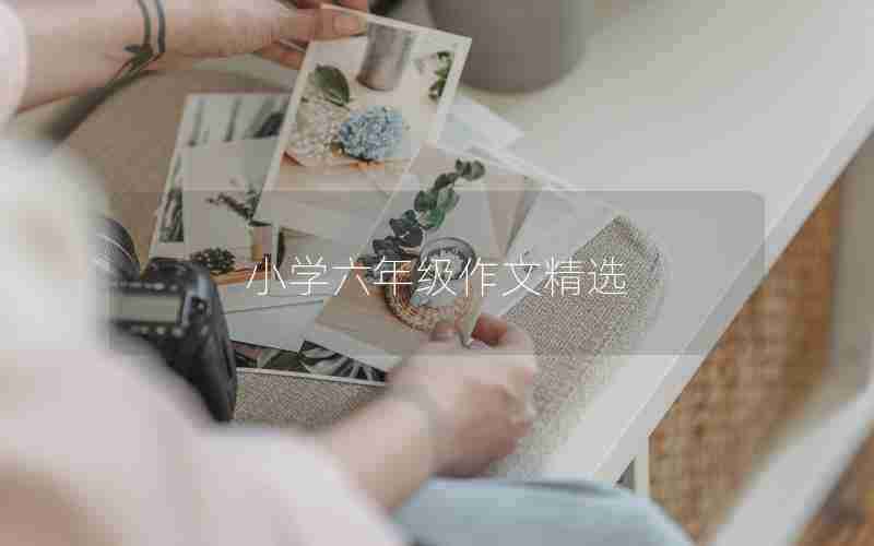 小学六年级作文精选