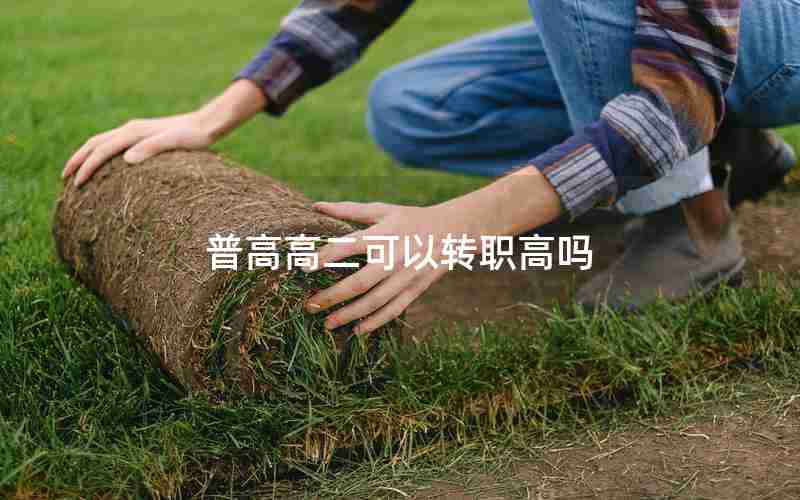 普高高二可以转职高吗