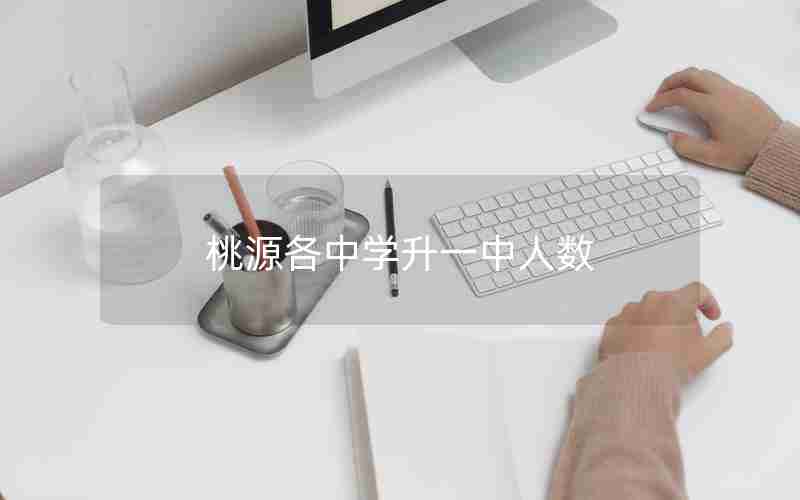 桃源各中学升一中人数
