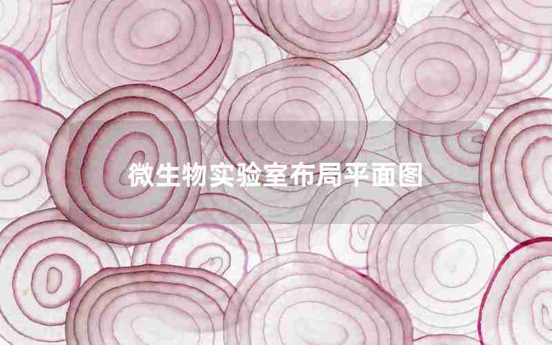 微生物实验室布局平面图
