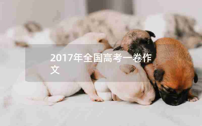 2017年全国高考一卷作文