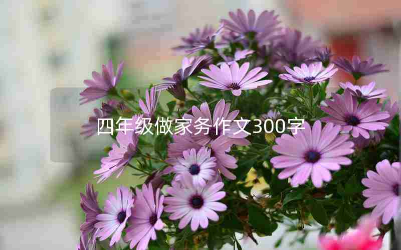 四年级做家务作文300字
