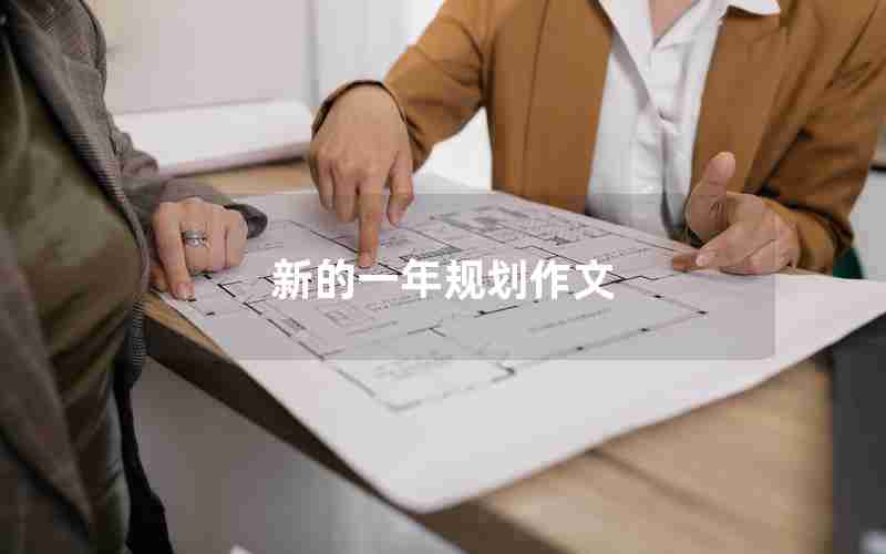 新的一年规划作文