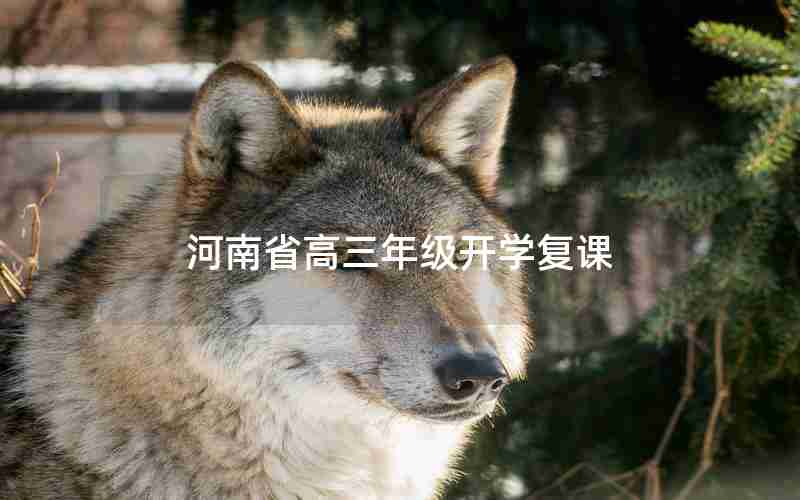 河南省高三年级开学复课