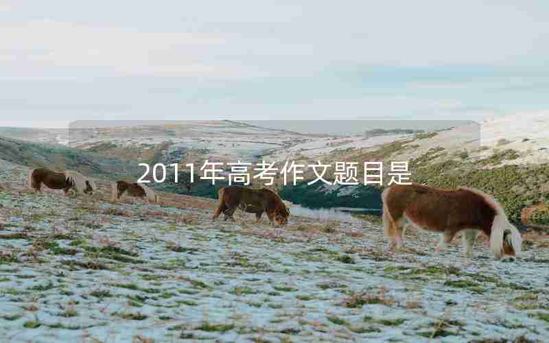 2011年高考作文题目是