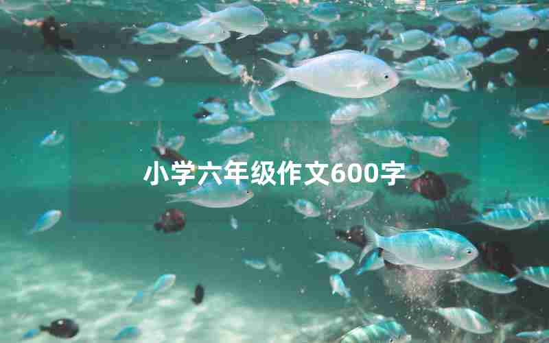 小学六年级作文600字