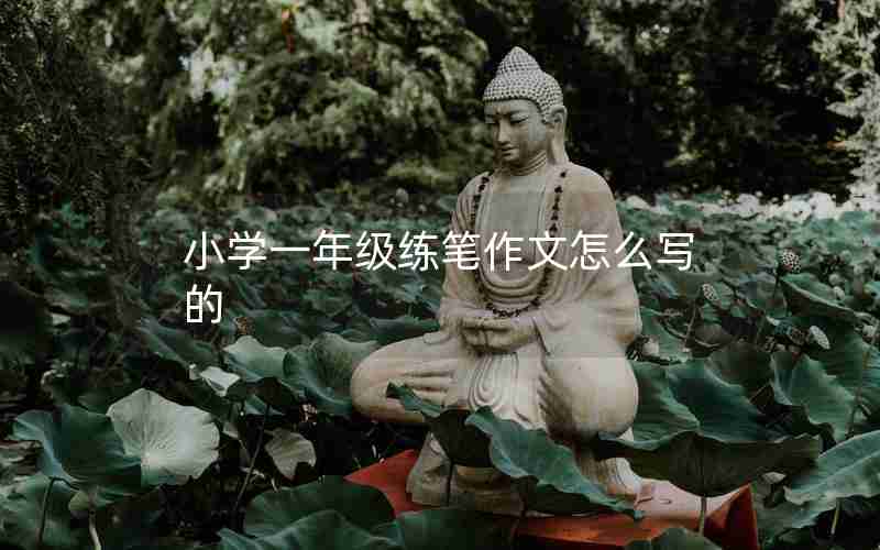 小学一年级练笔作文怎么写的
