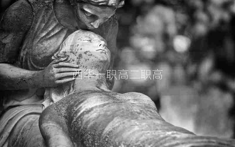 西华一职高二职高