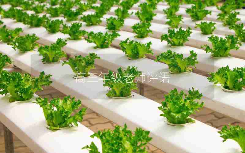 高三年级老师评语
