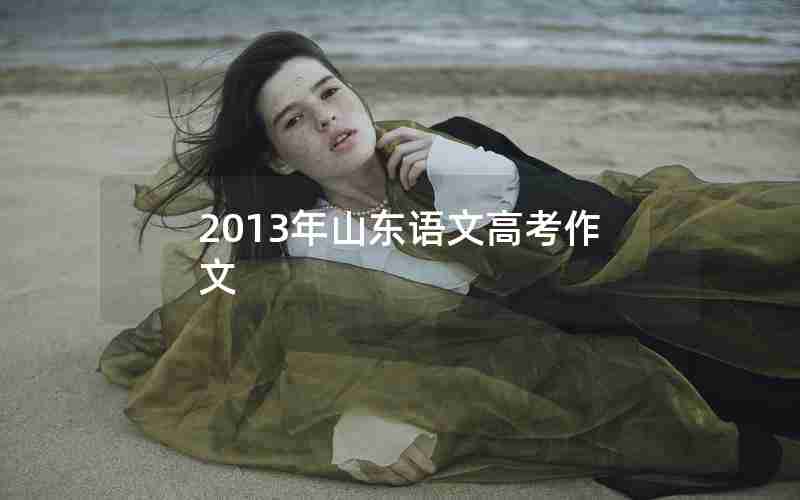 2013年山东语文高考作文