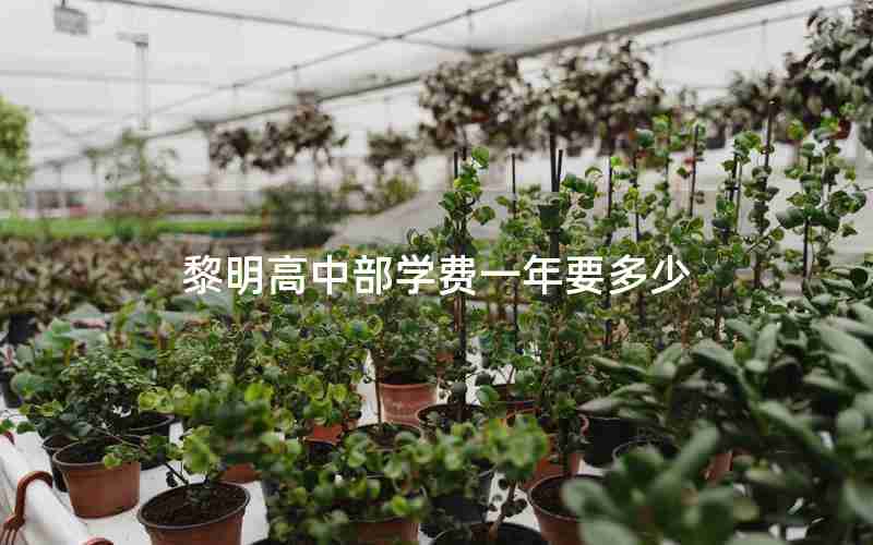 黎明高中部学费一年要多少