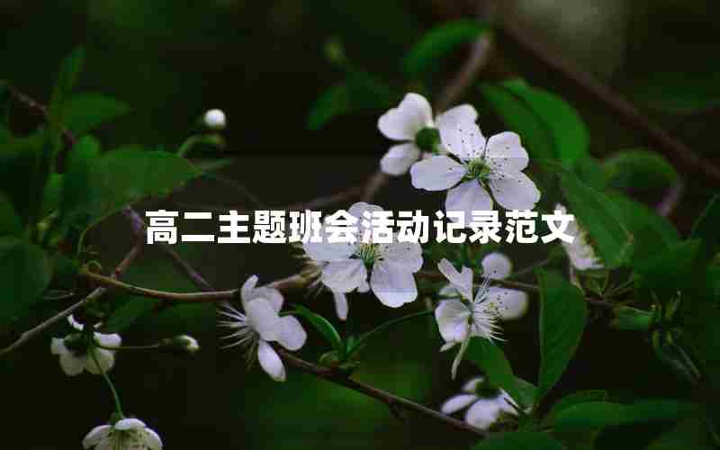 高二主题班会活动记录范文