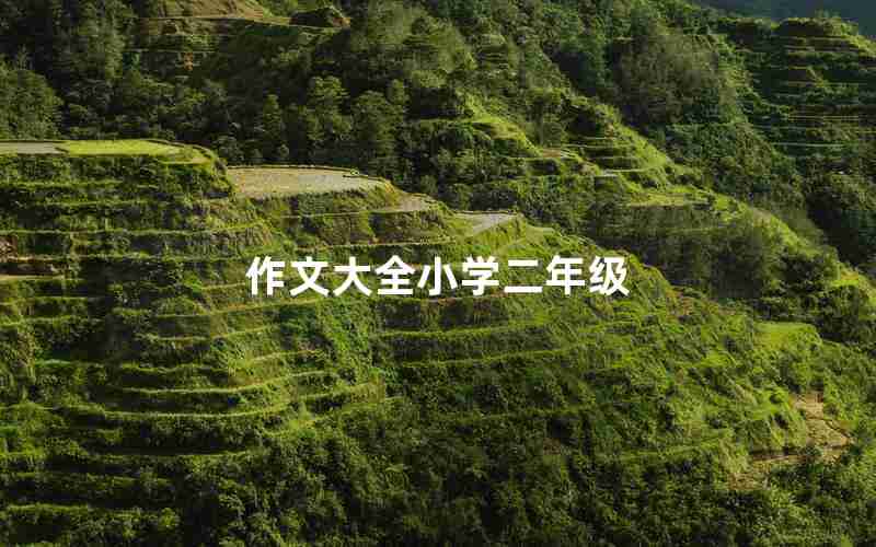 作文大全小学二年级
