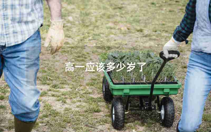 高一应该多少岁了