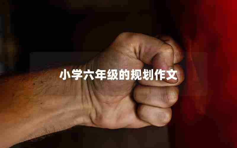 小学六年级的规划作文