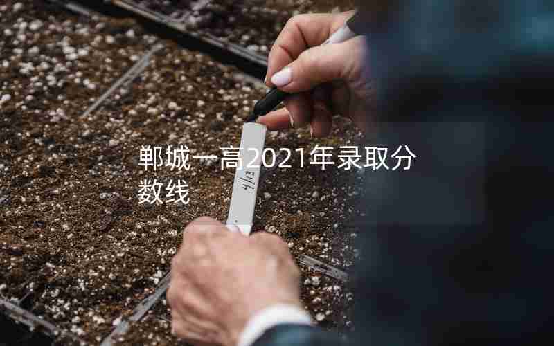 郸城一高2021年录取分数线