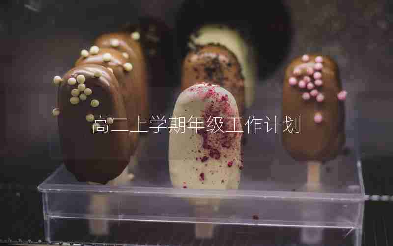 高二上学期年级工作计划