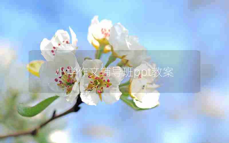 小学作文辅导班ppt教案