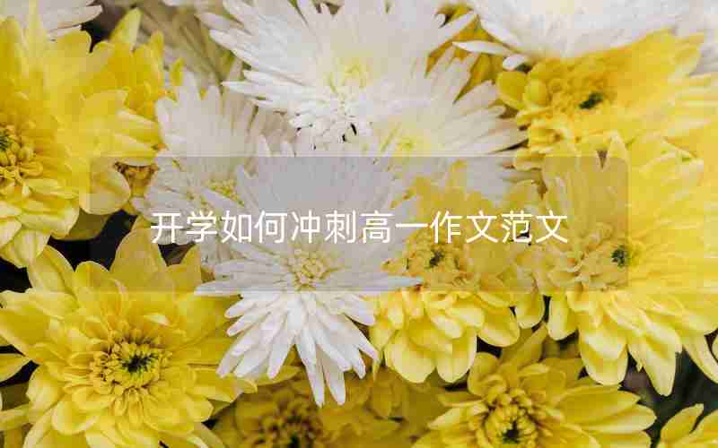 开学如何冲刺高一作文范文