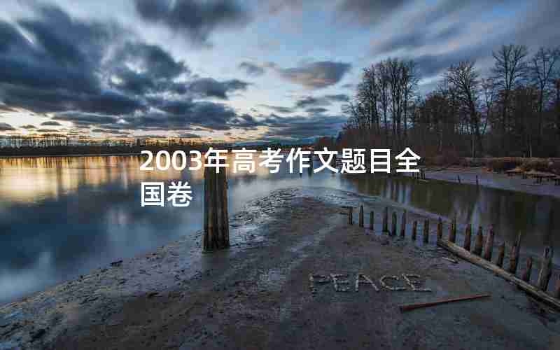 2003年高考作文题目全国卷