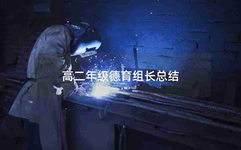 高二年级德育组长总结