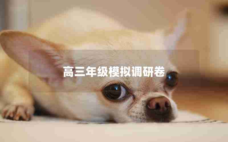 高三年级模拟调研卷