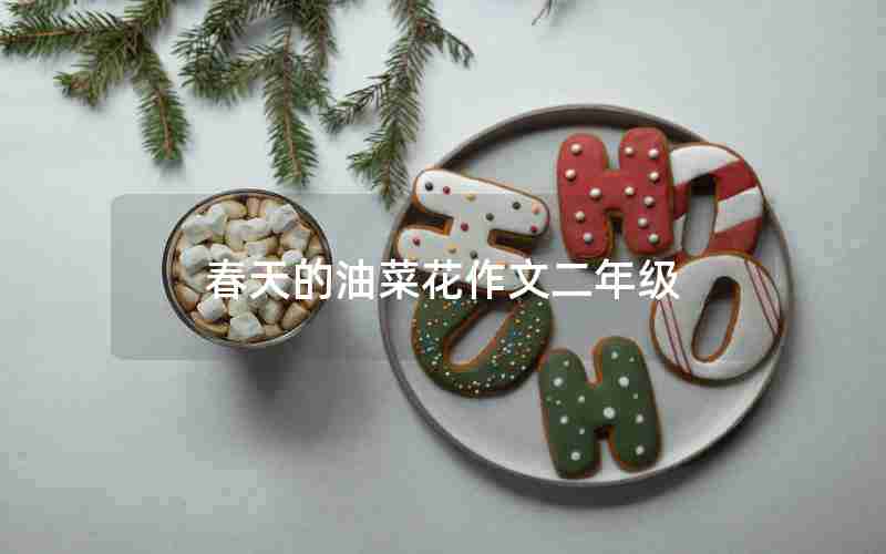 春天的油菜花作文二年级