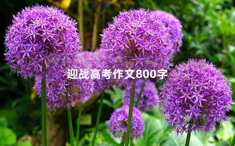 迎战高考作文800字