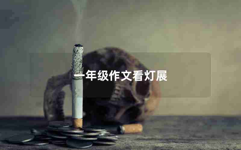 一年级作文看灯展