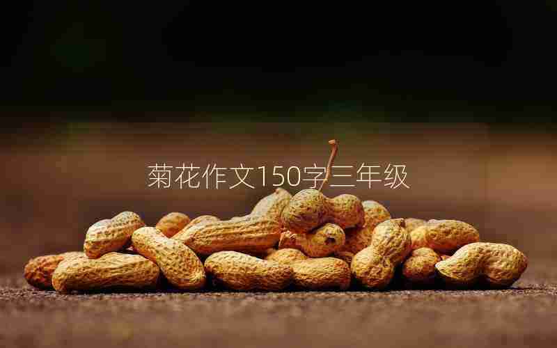 菊花作文150字三年级