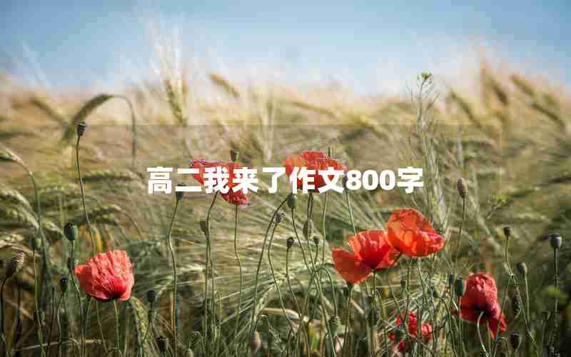 高二我来了作文800字