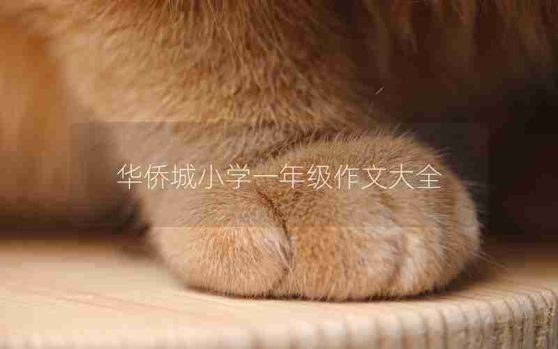 华侨城小学一年级作文大全