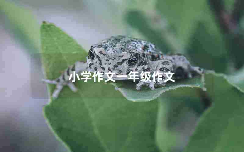小学作文一年级作文