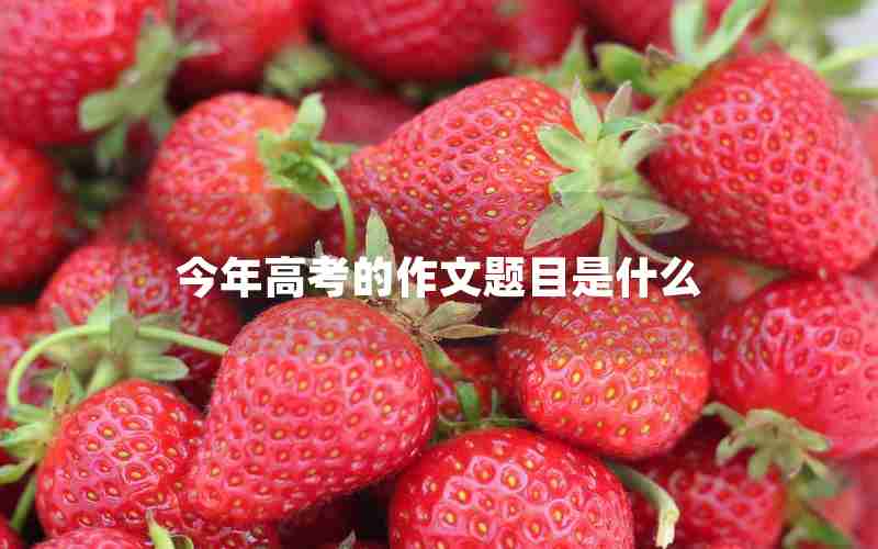 今年高考的作文题目是什么