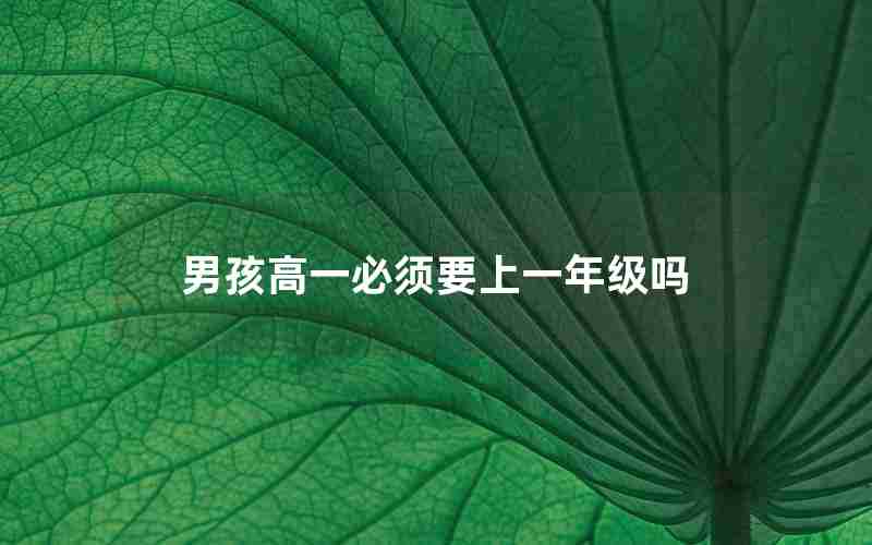 男孩高一必须要上一年级吗(男孩子多大上一年级合适)
