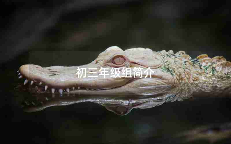 初三年级组简介