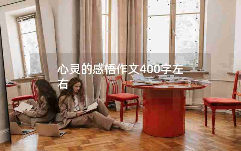 心灵的感悟作文400字左右