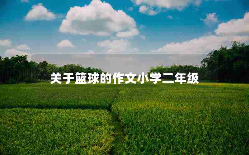 关于篮球的作文小学二年级