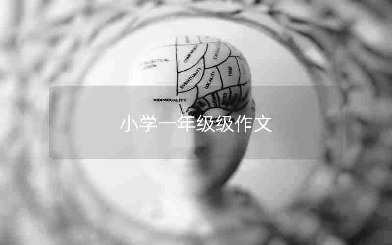 小学一年级级作文