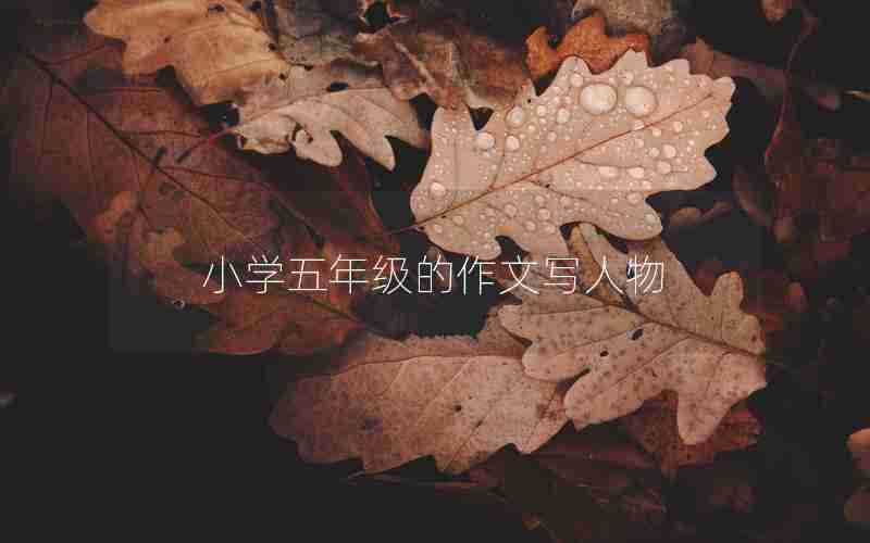小学五年级的作文写人物