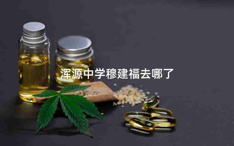 浑源中学穆建福去哪了