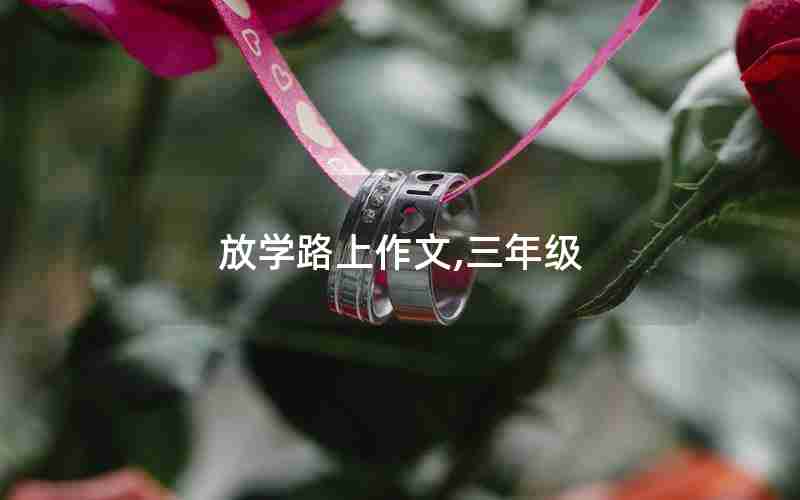 放学路上作文,三年级