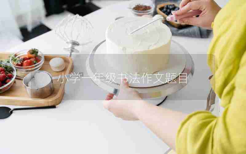 小学一年级书法作文题目